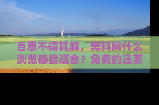 百思不得其解，黑料网什么浏览器最适合？免费的还要能吃瓜太难了！