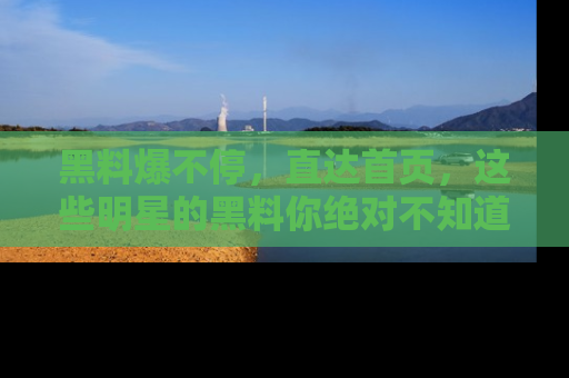 黑料爆不停，直达首页，这些明星的黑料你绝对不知道！