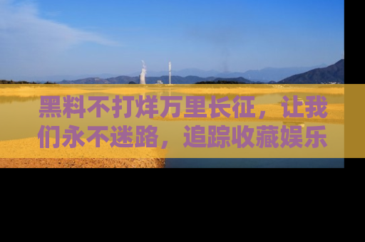 黑料不打烊万里长征，让我们永不迷路，追踪收藏娱乐爆料的乐趣！