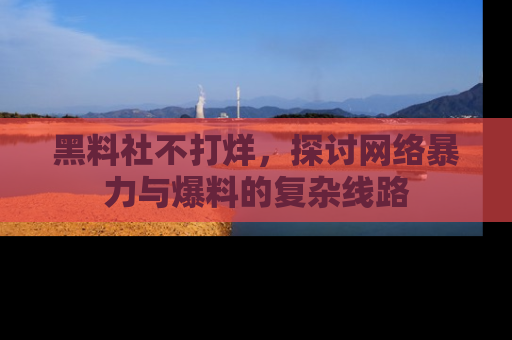 黑料社不打烊，探讨网络暴力与爆料的复杂线路