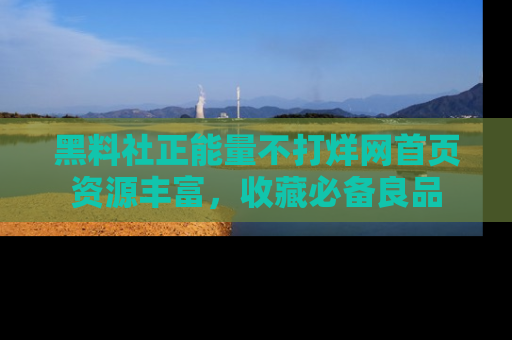 黑料社正能量不打烊网首页资源丰富，收藏必备良品