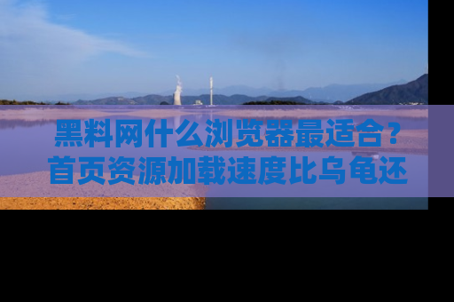 黑料网什么浏览器最适合？首页资源加载速度比乌龟还慢的体验真心吐槽！