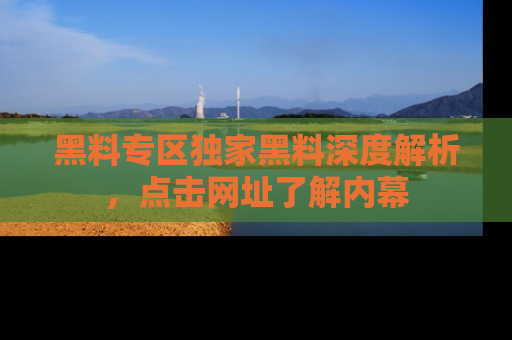 黑料专区独家黑料深度解析，点击网址了解内幕