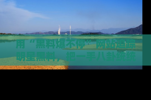 用“黑料爆不停”网站追踪明星黑料，把一手八卦统统收进你的后宫中！