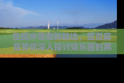 在线冲哥黑料精选,首页麻豆带你深入探讨娱乐圈的黑暗面