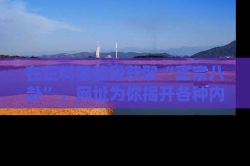 在正料黑能量获取“正宗八卦”,网址为你揭开各种内幕故事!