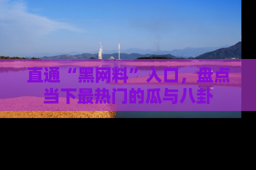 直通“黑网料”入口,盘点当下最热门的瓜与八卦