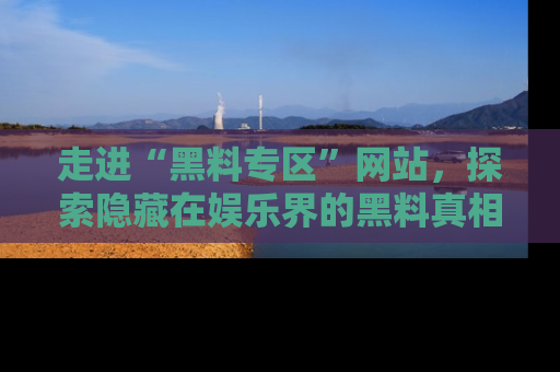走进“黑料专区”网站,探索隐藏在娱乐界的黑料真相