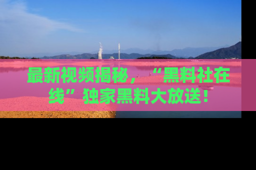 最新视频揭秘,“黑料社在线”独家黑料大放送!